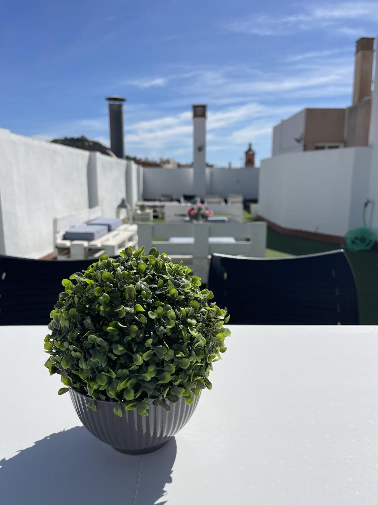 San Rafael Terrace City Centre 马拉加 外观 照片
